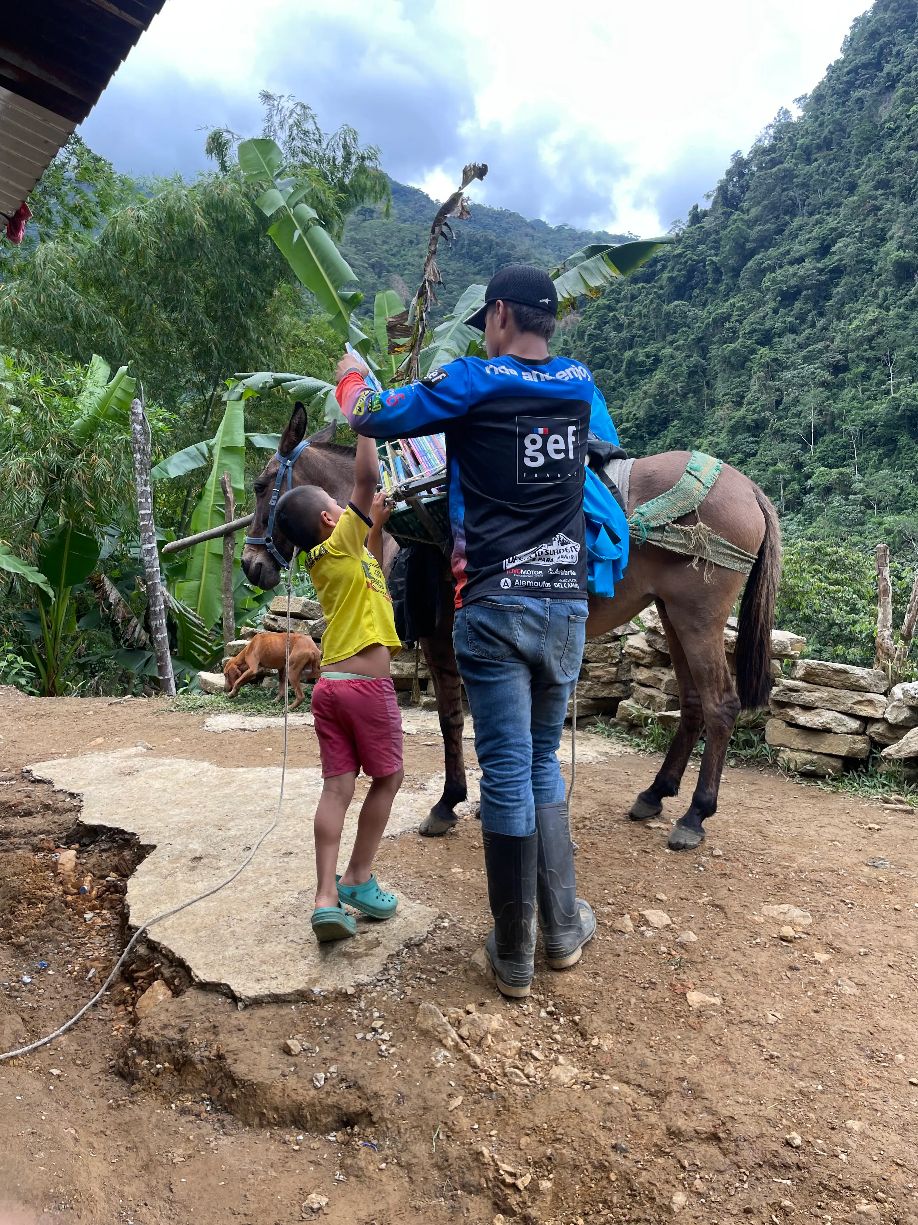 Colombiando somos todos 12