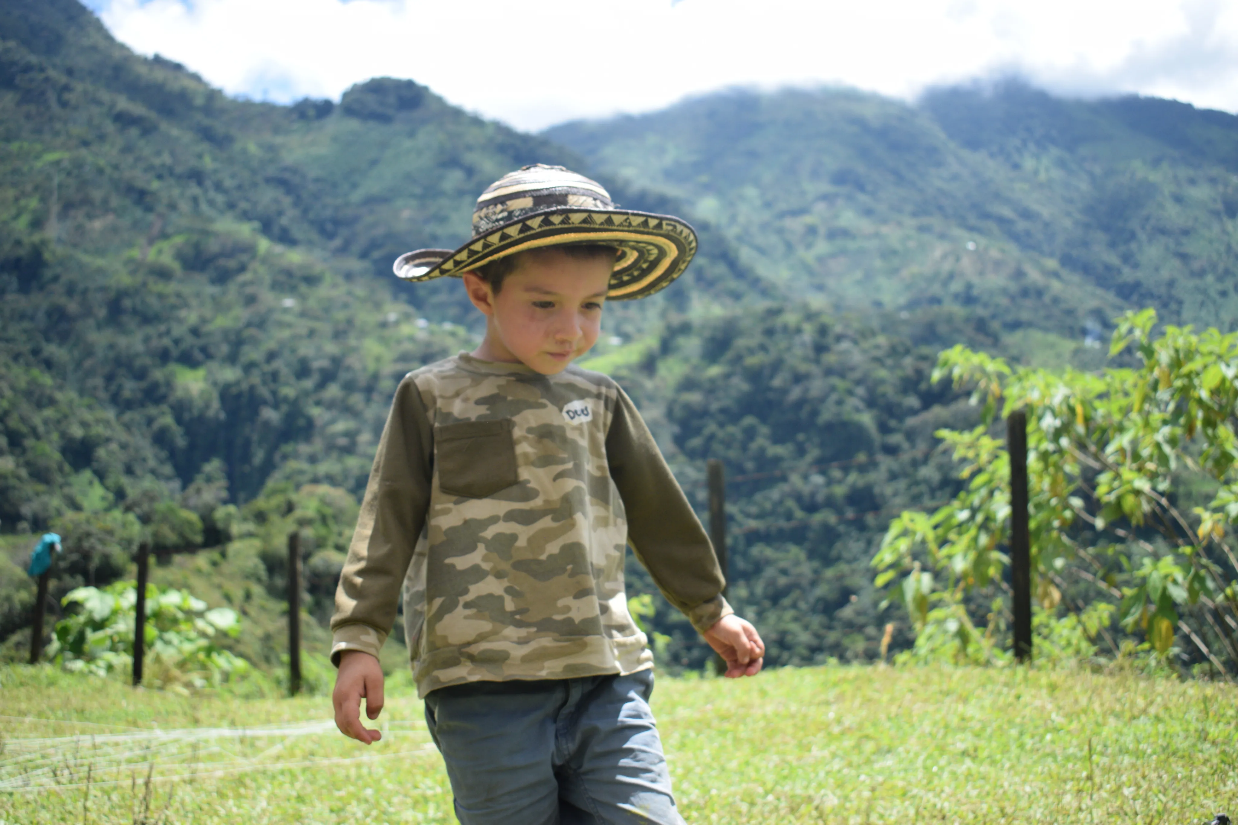 Colombiando somos todos 26