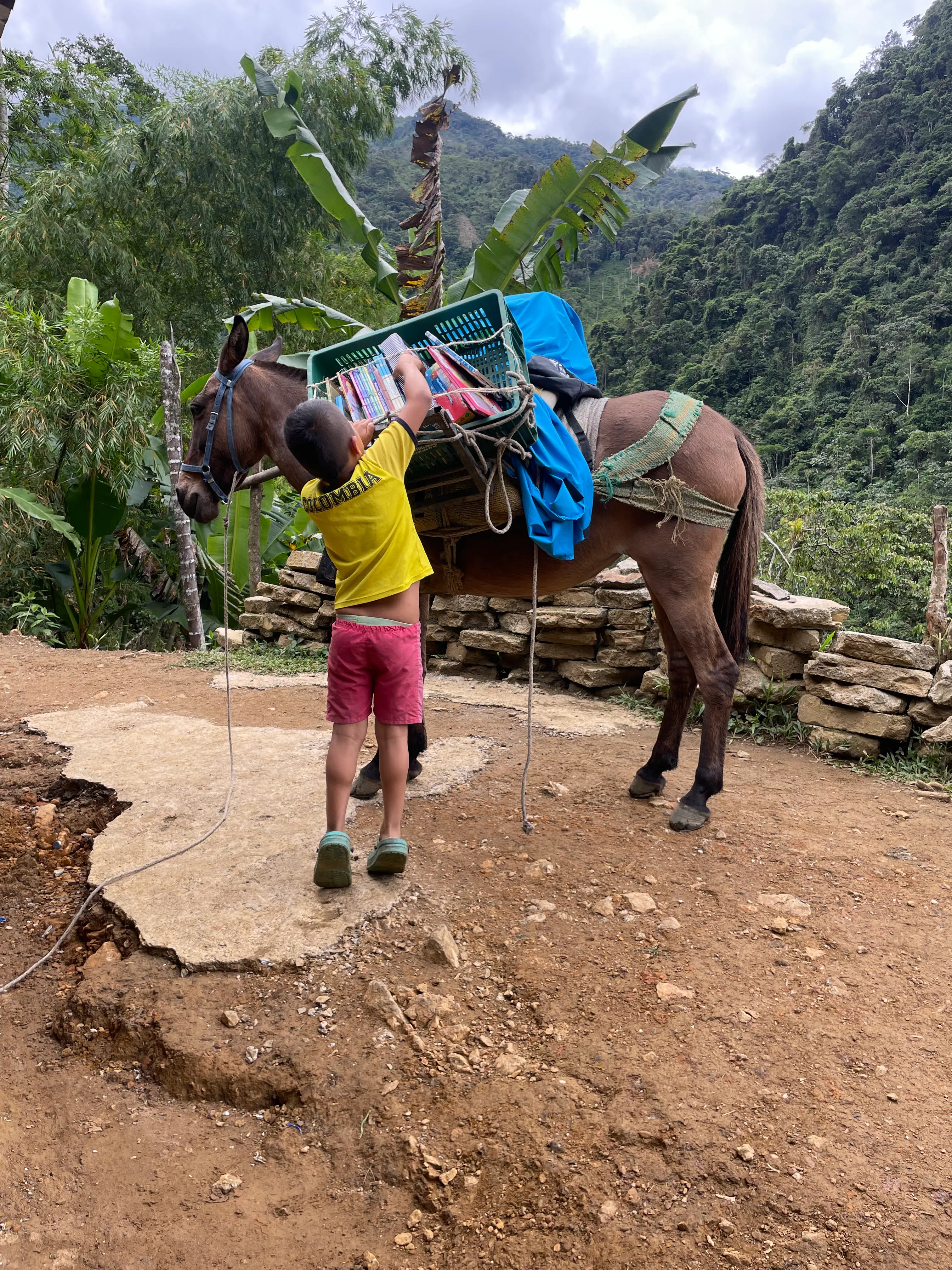 Colombiando somos todos 41